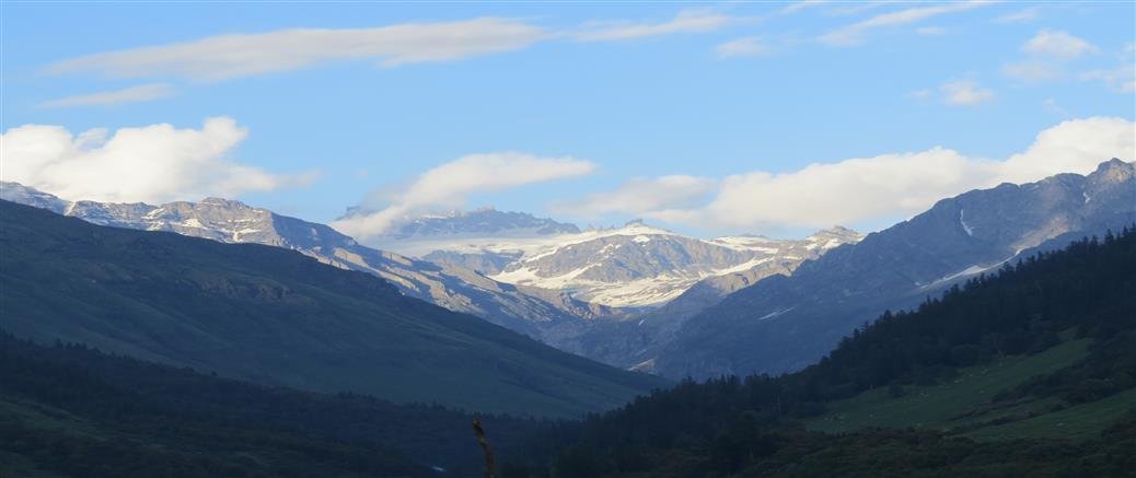 Data Recovery  Protocol