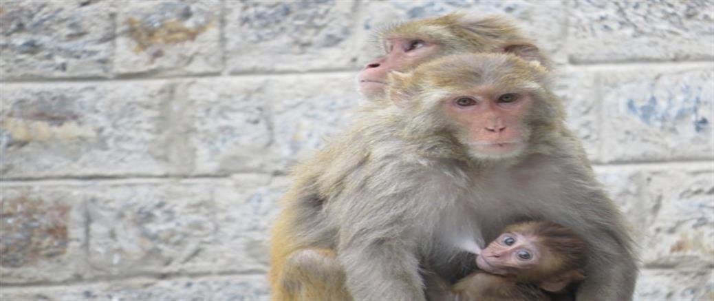 Data recovery Consumer Safety